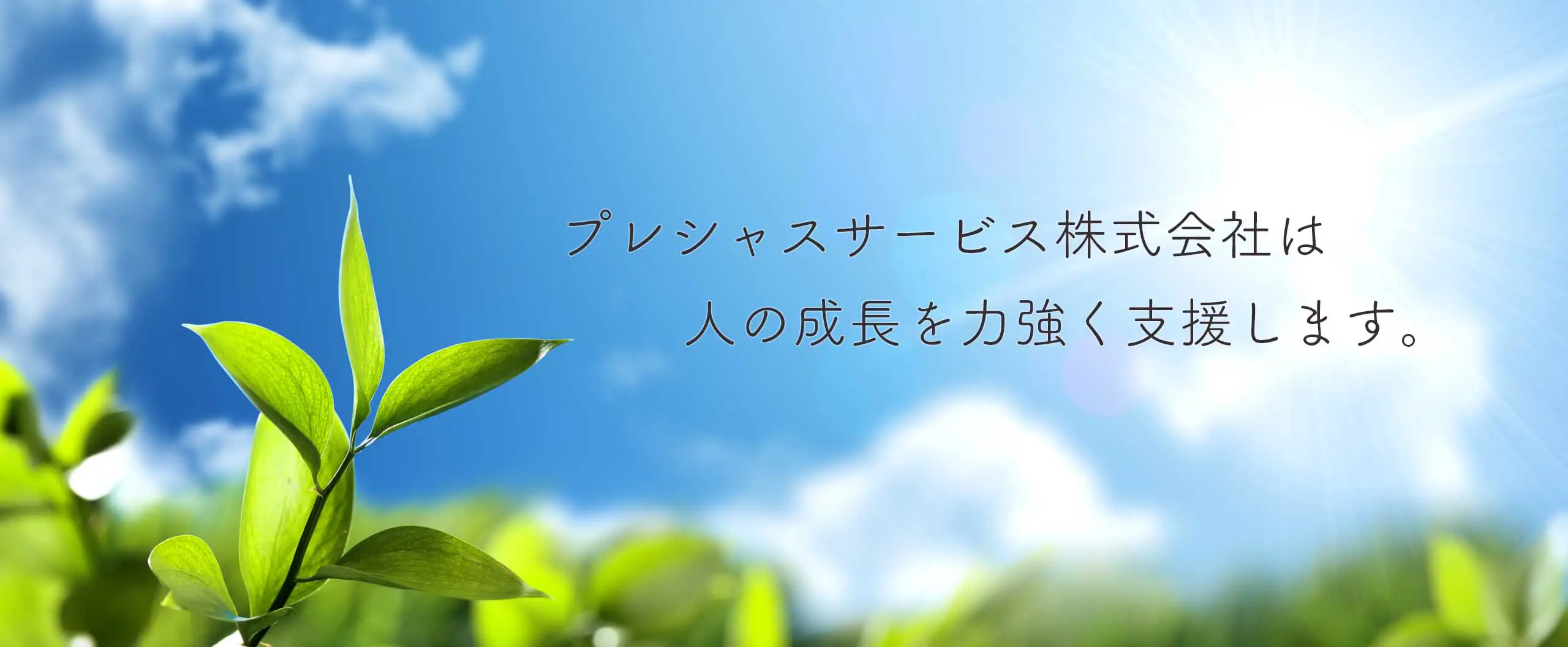 メインビジュアル空に若葉の画像